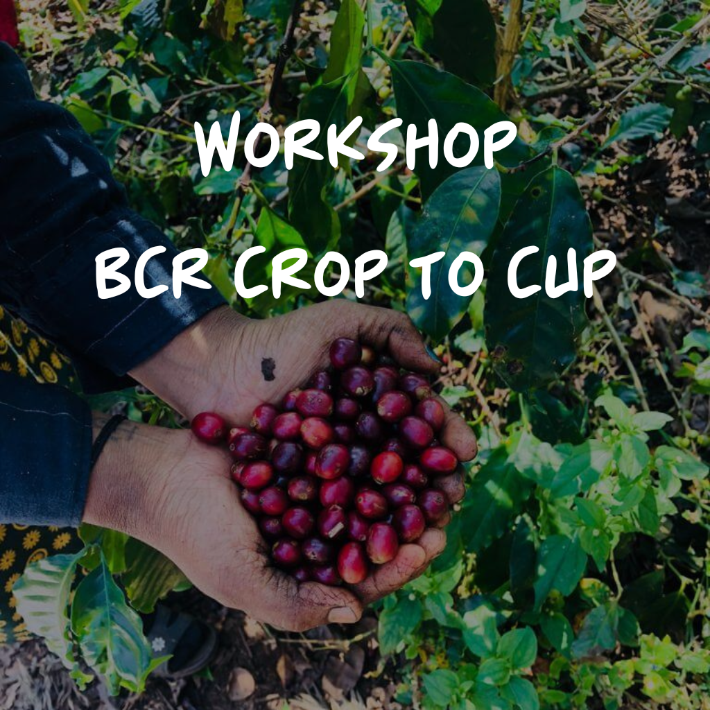 Course: Crop to Cup